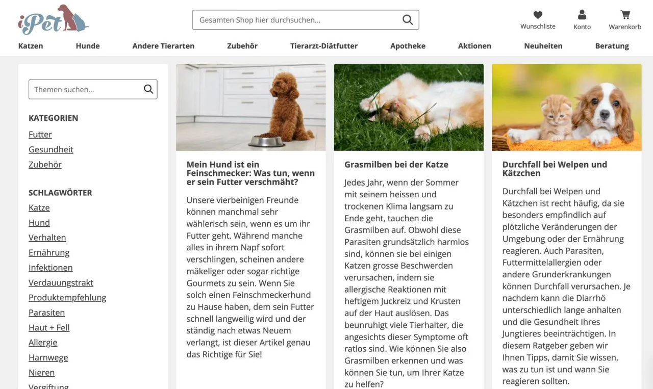 Abbildung: Analyse Ist-Zustand